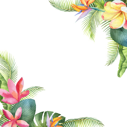 Watercolor vector card with tropical leaves and bright exotic flowers isolated on white background. Illustration for design wedding invitations, greeting cards, postcards.
