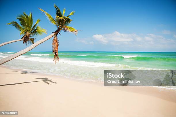 Costa Caribe Foto de stock y más banco de imágenes de Agua - Agua, Aire libre, Arena