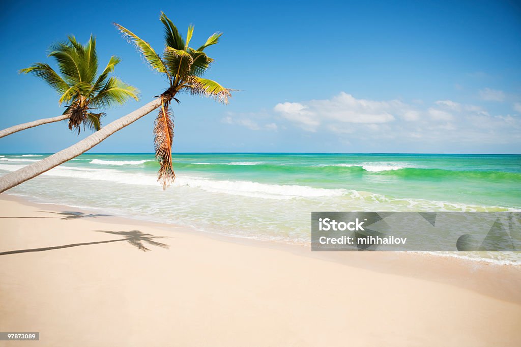 Costa dei Caraibi - Foto stock royalty-free di Acqua