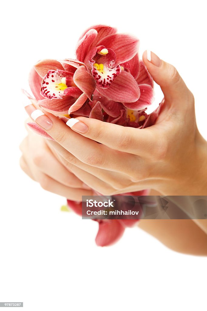Hände und orchid - Lizenzfrei Attraktive Frau Stock-Foto