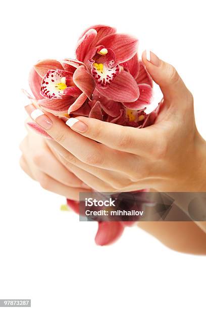 Hände Und Orchid Stockfoto und mehr Bilder von Attraktive Frau - Attraktive Frau, Baumblüte, Blume