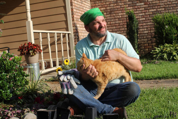 istock Male gardener in front yard with tabby cat too 978736608