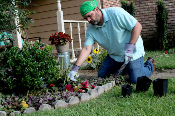 istock Male gardener works in front yard 978736626
