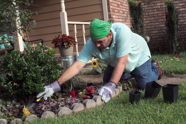 istock Male gardener works in front yard 978736748