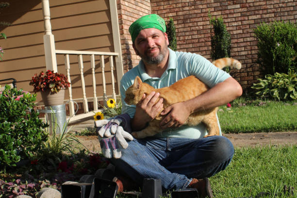 istock Male gardener in front yard with tabby cat too 978736900