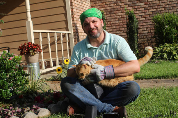 istock Male gardener in front yard with tabby cat too 978737104