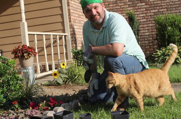 istock Male gardener in front yard with tabby cat too 978737106
