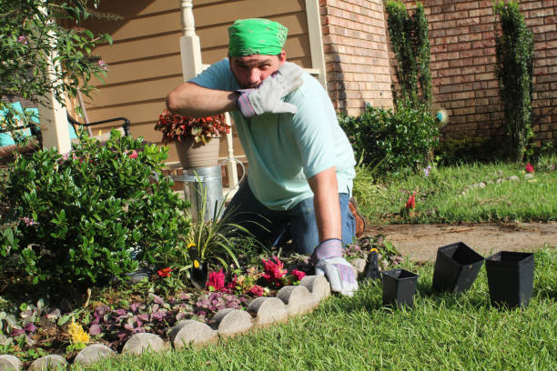 istock Male gardener in front yard - heat 978737304