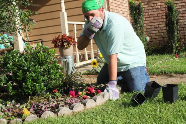 istock Male gardener in front yard - heat 978737502