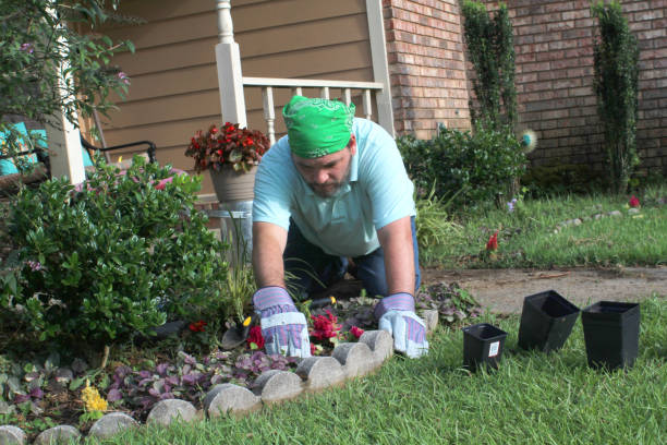 istock Male gardener works in front yard 978737666