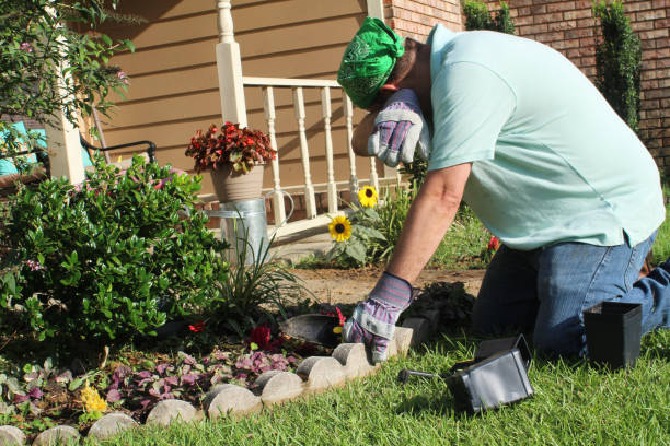 istock Male gardener in front yard - heat 978737676