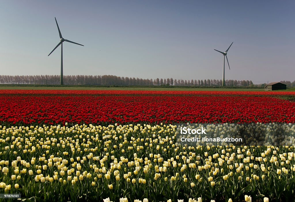 Ветряные турбины - Стоковые фото Без людей роялти-фри