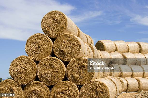 Hay Bales Stockfoto und mehr Bilder von Agrarbetrieb - Agrarbetrieb, Bauernhaus, Blau