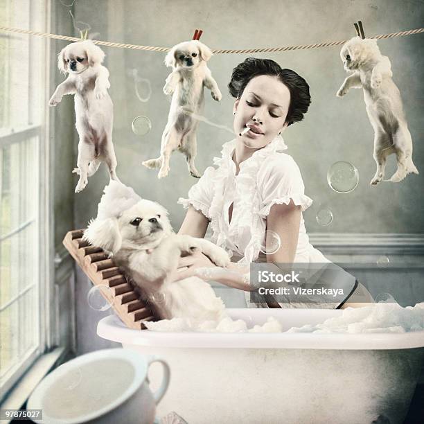Big Wash Stock Photo - Download Image Now - Dog, Bathtub, Women