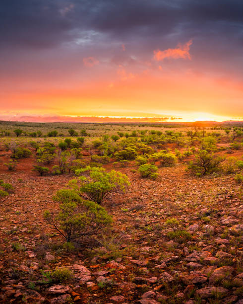 color del desierto - zona interior de australia fotografías e imágenes de stock