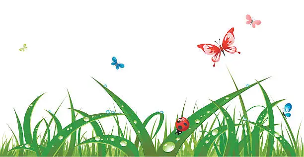 Vector illustration of Wet grass and insects
