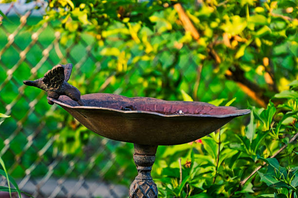 close-up beeld van metalen vogel bad met prachtig gebeeldhouwd kolibrie decor op rand. - bird water bath garden stockfoto's en -beelden