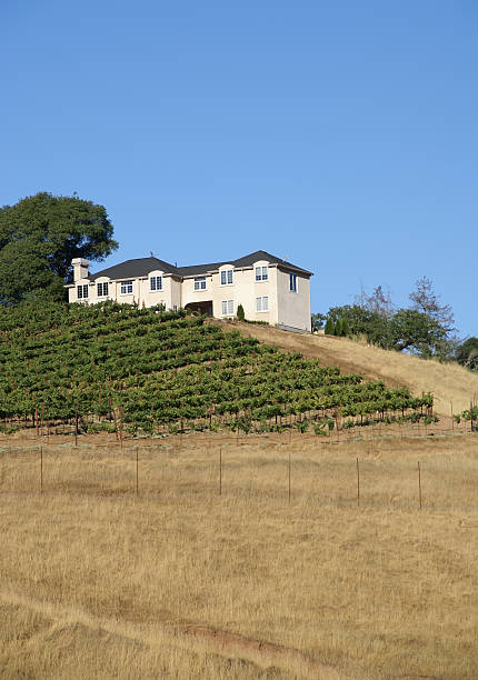 California winery stock photo