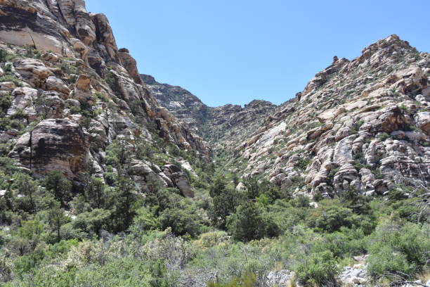 istock Nevada Red Rock Canyon in Mojave Desert 978818562