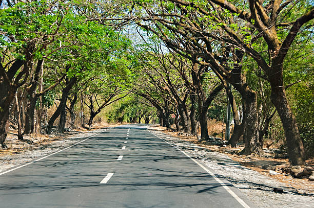 istock Countryside Road 97881858