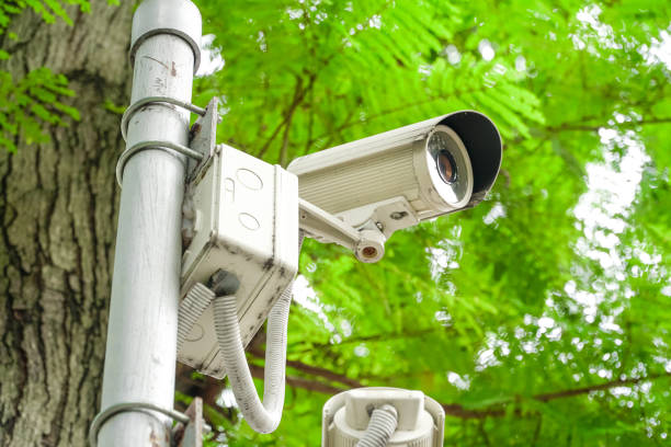 istock CCTV Security Camera in garden on tree green nature background 978832036