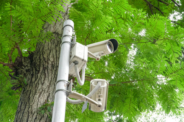 istock cctv security in garden on tree green nature background 978832064