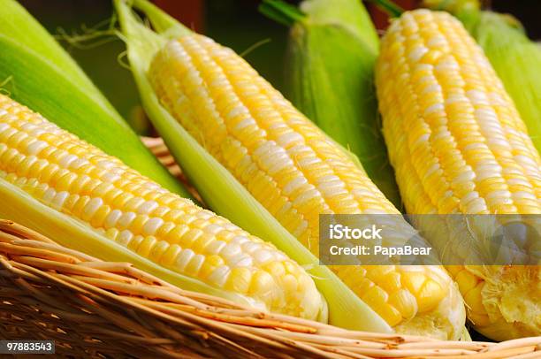 Maíz Tierno Que Foto de stock y más banco de imágenes de Maíz - Alimento - Maíz - Alimento, Cascabillo, Mazorca de maíz