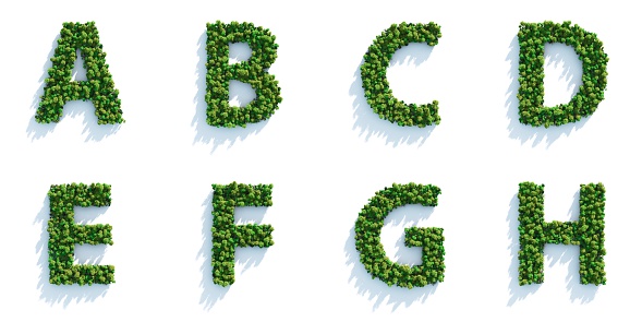 Highly detailed tree alphabet on a white background. Morning light with projected shadows, which can be multiplied in an editing software for an easy composite over your own background.