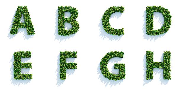 Tree Alphabet Part 01: Top View Highly detailed tree alphabet on a white background. Morning light with projected shadows, which can be multiplied in an editing software for an easy composite over your own background. letter f photos stock pictures, royalty-free photos & images