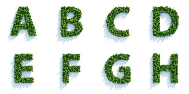 Tree Alphabet Part 01: Top View Highly detailed tree alphabet on a white background. Morning light with projected shadows, which can be multiplied in an editing software for an easy composite over your own background. letter h alphabet of green leaves stock pictures, royalty-free photos & images