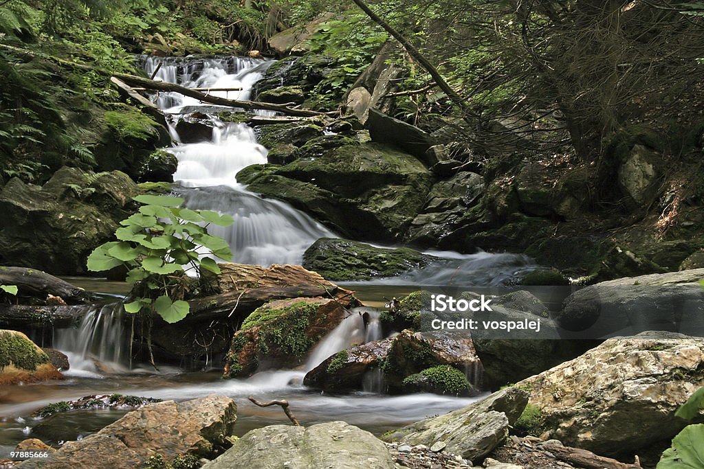 Wasserfälle - Lizenzfrei Bach Stock-Foto