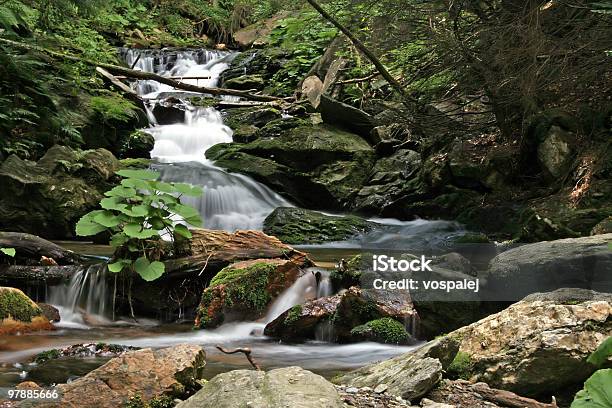 Cascate - Fotografie stock e altre immagini di Acqua - Acqua, Albero, Ambientazione esterna