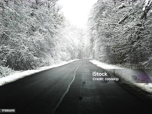 Camino De Invierno Foto de stock y más banco de imágenes de Aire libre - Aire libre, Belleza de la naturaleza, Blanco - Color