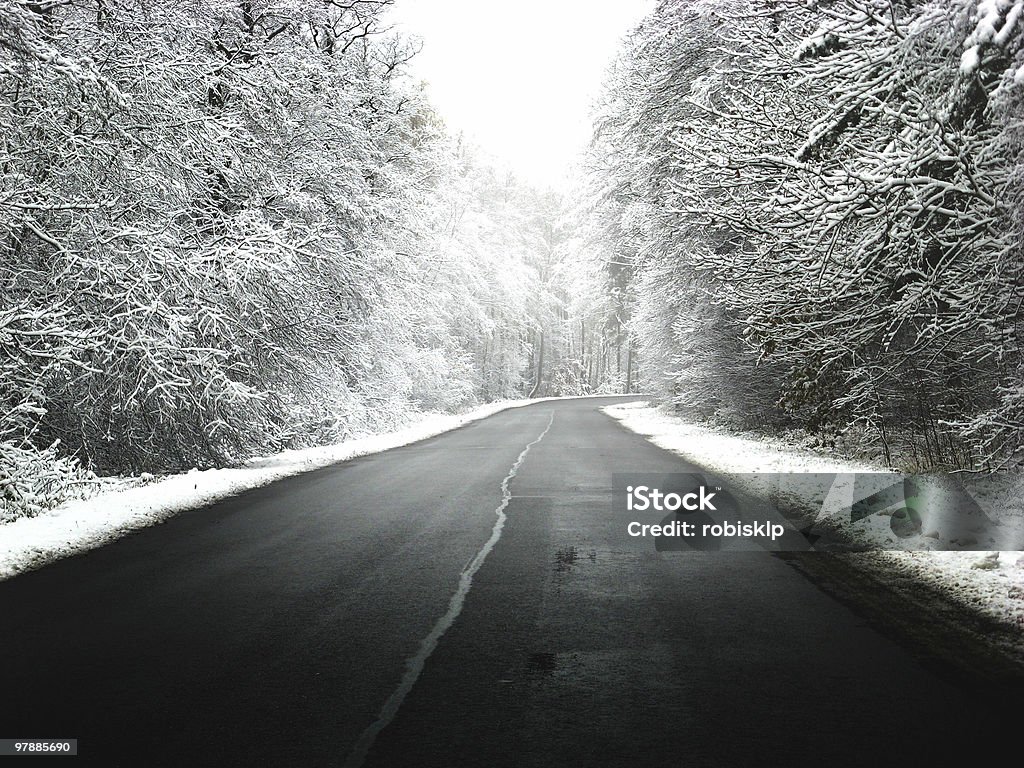 Route d'hiver - Photo de Arbre libre de droits