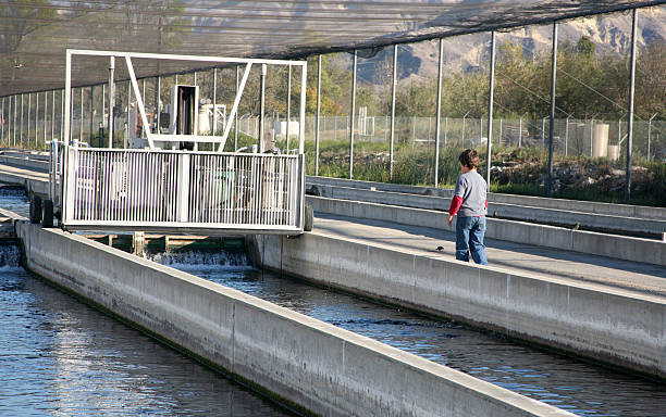 istock Trout farm boy 97885781