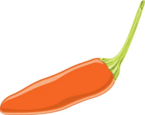 Vector illustration of Red hot Chilli