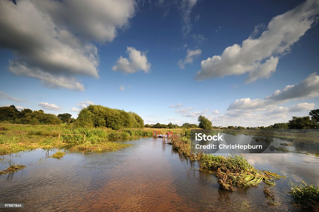 Allagato paludose - Foto stock royalty-free di Stafford