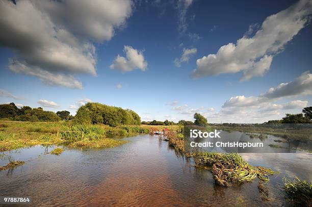 Allagato Paludose - Fotografie stock e altre immagini di Stafford - Stafford, Inghilterra, Acqua