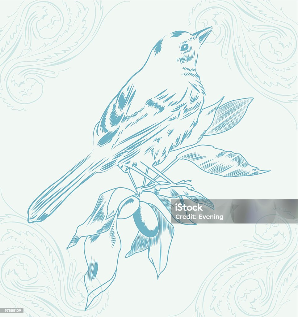 Single Line Vector Bluebird Bluebird Stock Illustration - Download Image Now - Bluebird - Bird ...
