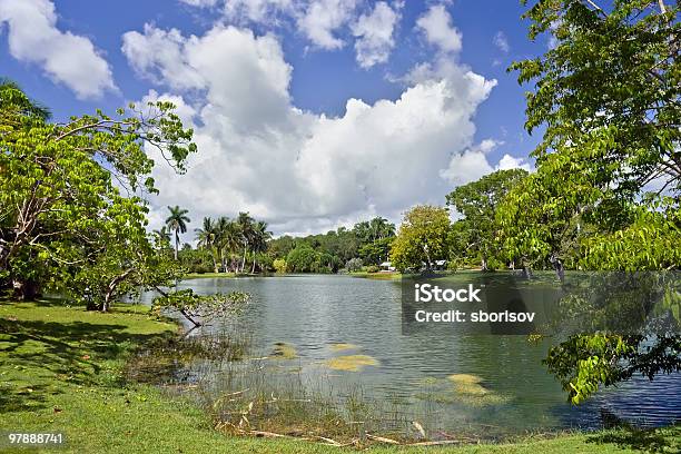 Fairchild Tropical Botanic Garden Stock Photo - Download Image Now - Beauty In Nature, Blue, Cloud - Sky