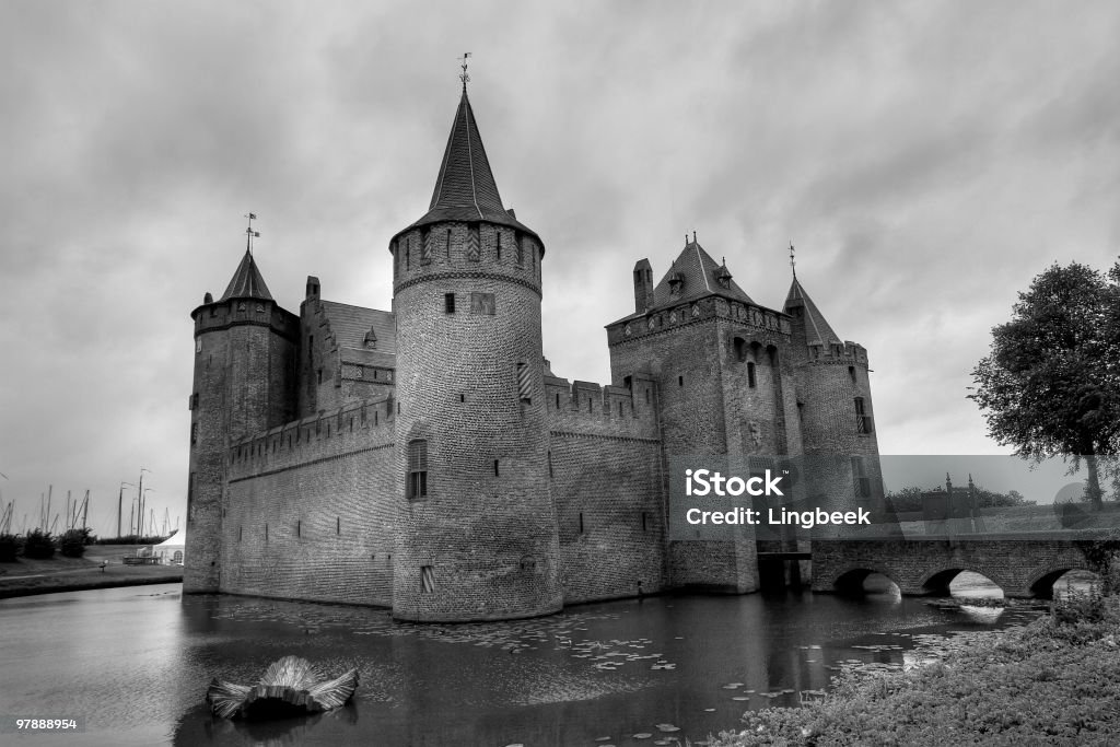 Muiderslot Castle - Photo de Arbre libre de droits