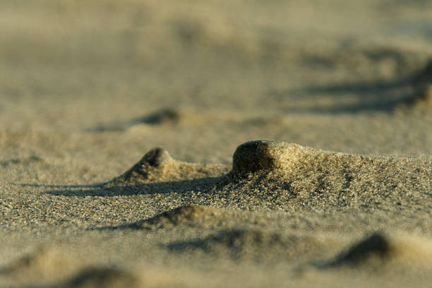 Tiny landscape stock photo