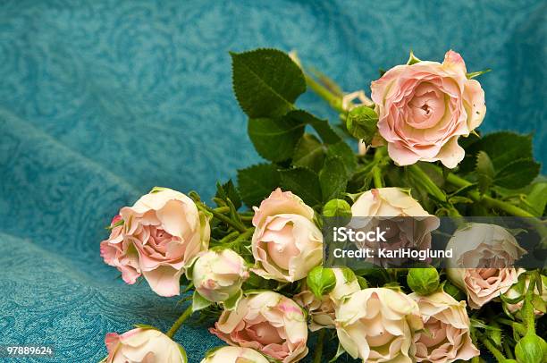 Różowe Róże - zdjęcia stockowe i więcej obrazów Bez ludzi - Bez ludzi, Bukiet, Duża grupa obiektów