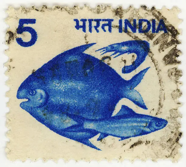 Photo of India Stamp With Fish