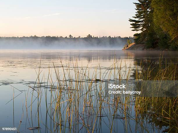 Foto de O Amanhecer e mais fotos de stock de Beleza - Beleza, Beleza natural - Natureza, Bosque - Floresta