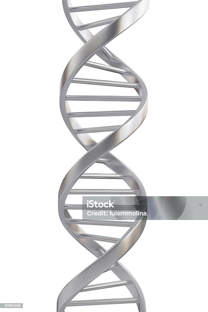 の Dna - ヘリックス模型のロイヤリティフリーストックフォト