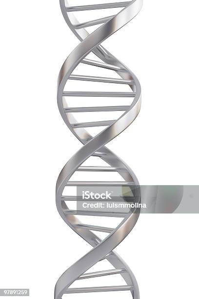 の Dna - ヘリックス模型のストックフォトや画像を多数ご用意 - ヘリックス模型, DNA, らせん