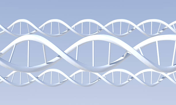istock Dna with Depth of Field 97891639