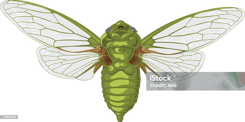 It's a bugs life  Animal stock vector