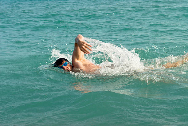 istock Man swimming front crawl in the sea 97892605